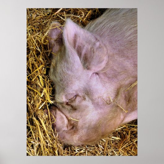 POSTER PIÈCES (Devant)