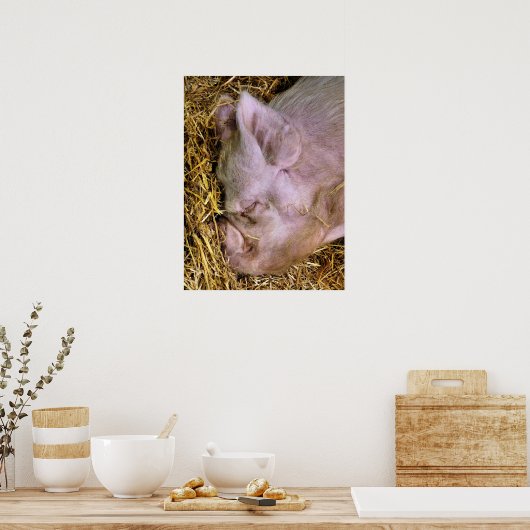 POSTER PIÈCES (Cuisine)