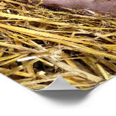 POSTER PIÈCES (Coin)