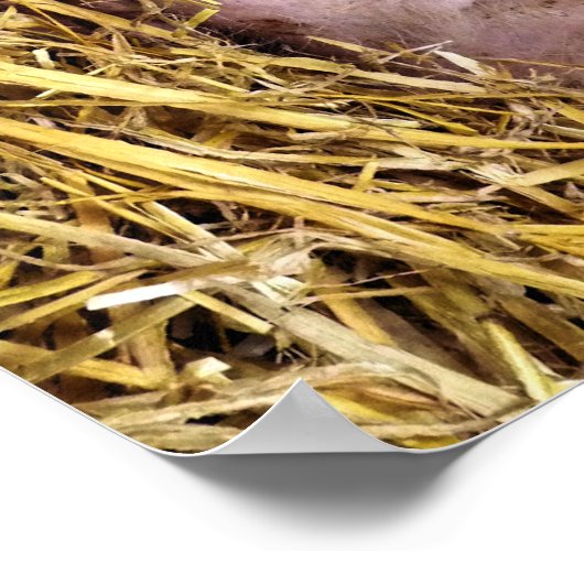 POSTER PIÈCES (Coin)