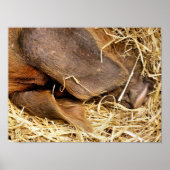 POSTER PIÈCES (Devant)