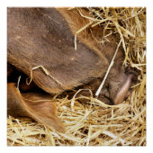 POSTER PIÈCES (Devant)