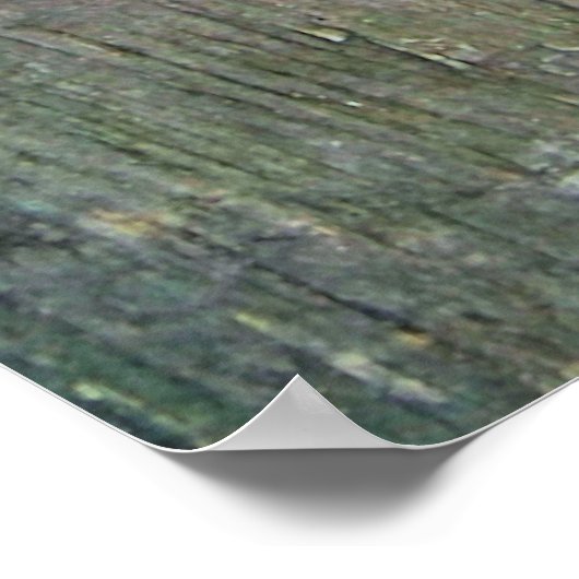 POSTER PIÈCES (Coin)