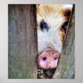 POSTER PIÈCES (Devant)