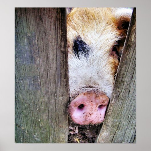 POSTER PIÈCES (Devant)