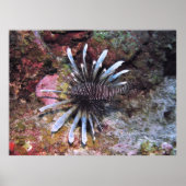 Poster Pièces détachées (Devant)