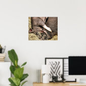 POSTER PIÈCES FRAÎCHES (Bureau à domicile)