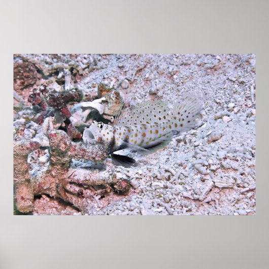 Poster Pièces volées (Devant)