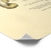 Poster Pied Anatomie Bones Joints Imprimer (Coin)