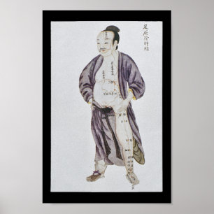 Poster Pied méridien Jueyin de foie d'acuponcture