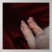 POSTER PIEDS (Devant)