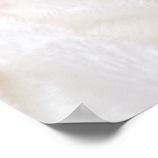 Poster Pieds bébé avec marguerite (Coin)