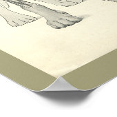 Poster Pieds de crâne de chien Squelette Muscle Anatomie (Coin)