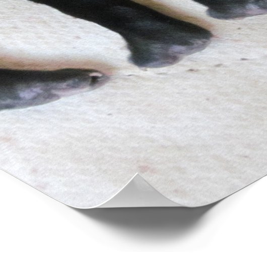 Poster Pieds de marionnette -print (Coin)