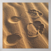 POSTER PIEDS DE SABLE (Devant)