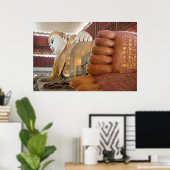 Poster Pieds de statue de Bouddha (Bureau à domicile)