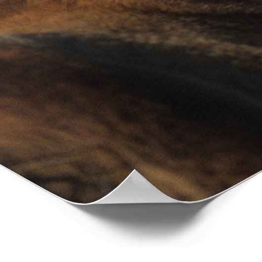 Poster Pieds miniatures 2 (Coin)