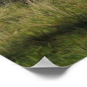 Poster Pieniny (Coin)