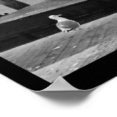 Poster Pier 39 (Coin)