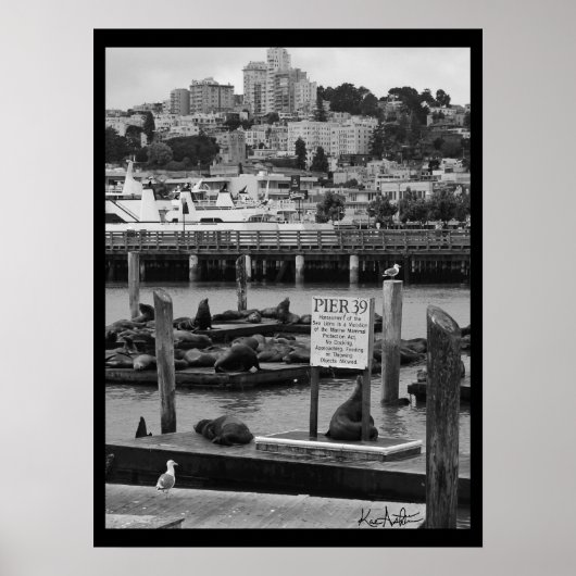 Poster Pier 39 (Devant)