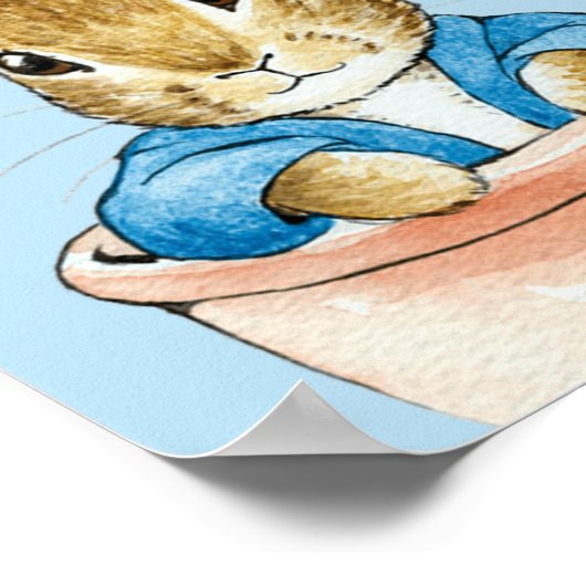 Poster Pierre assis dans un pot de fleurs (Coin)