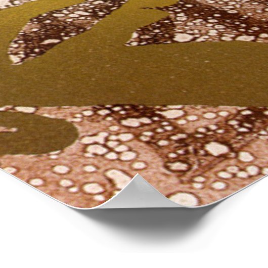 Poster Pierre de Birsay (Coin)