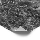 Poster Pierre de tête de Wild Bill Hickock's Grave Photog (Coin)