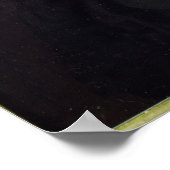 Poster Pierre Fermat (Coin)