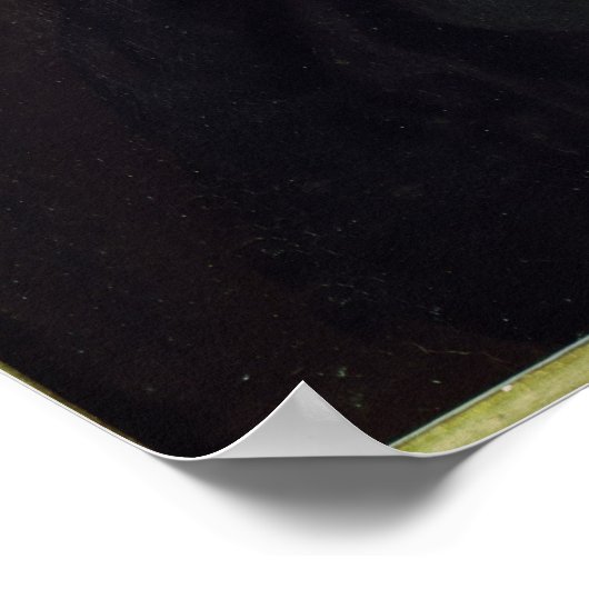 Poster Pierre Fermat (Coin)