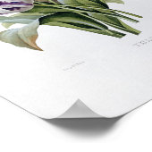 Poster Pierre Joseph Redoute - Tulips (Coin)