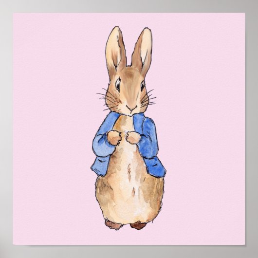 Poster Pierre le lapin (Devant)