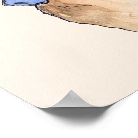 Poster Pierre le lapin (Coin)