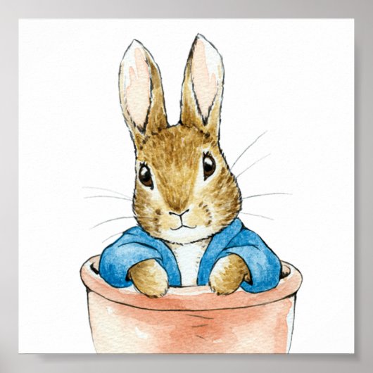Poster Pierre le lapin assis dans un pot de fleurs (Devant)