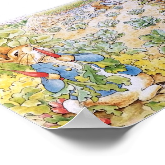 Poster Pierre le Lapin mangeant des carottes    (Coin)