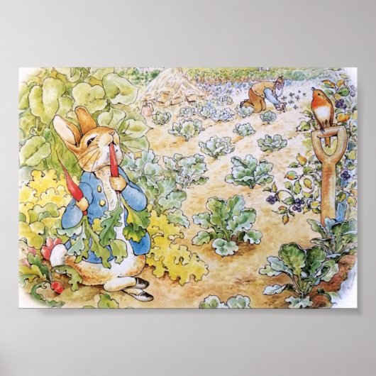 Poster Pierre le Lapin mangeant des carottes (Devant)