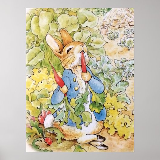 Poster Pierre le Lapin mangeant une carotte (Devant)
