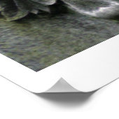 Poster Pierre maléfique (Coin)