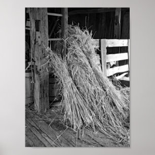 Poster Pierres de blé noir et blanc de la ferme