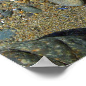 Poster Pierres de plage (Coin)