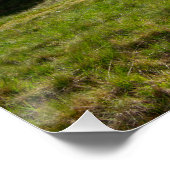 Poster Pierres de pluie, Bordure de pierre noire (Coin)