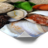 Poster Pierres Petoskey 3.0 (Coin)