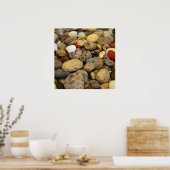 Poster Pierres Petoskey avec coquilles (Cuisine)