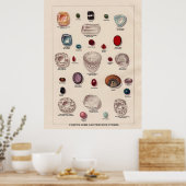 Poster Pierres précieuses et gemmes célèbres (Cuisine)