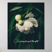 Poster Pies blanches (Devant)