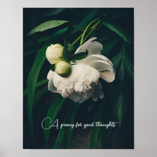 Poster Pies blanches (Devant)