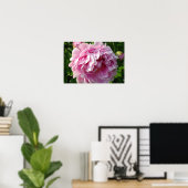 Poster Pies roses (Bureau à domicile)