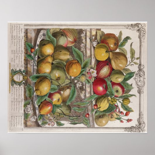 Poster Pieter Casteels, Douze mois de fruits, avril (Devant)
