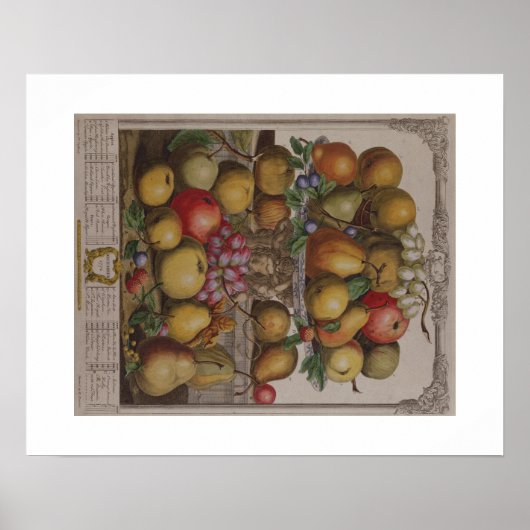 Poster Pieter Casteels, douze mois de fruits, décembre (Devant)