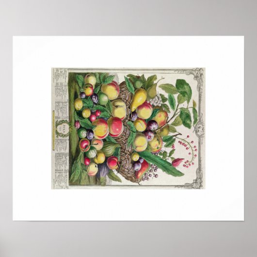 Poster Pieter Casteels, douze mois de fruits, juillet (Devant)