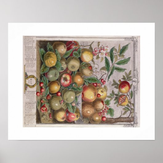 Poster Pieter Casteels, douze mois de fruits, mai (Devant)